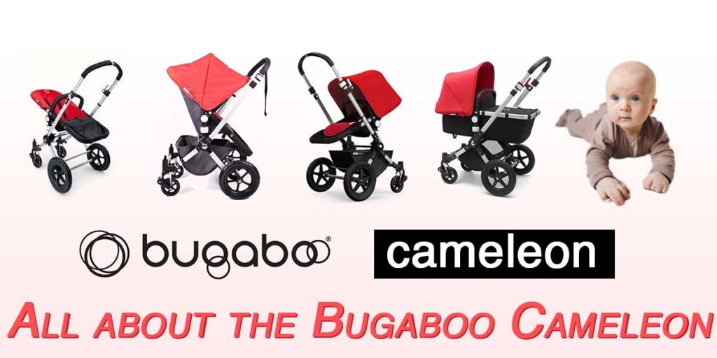 All about the Bugaboo Cameleon featured image
