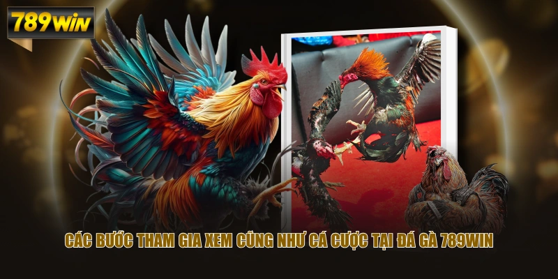 Các bước tham gia xem cũng như cá cược tại Đá Gà 789WIN