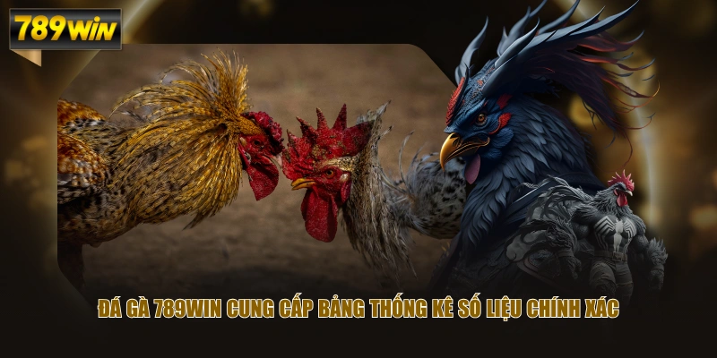 Đá Gà 789WIN cung cấp bảng thống kê số liệu chính xác